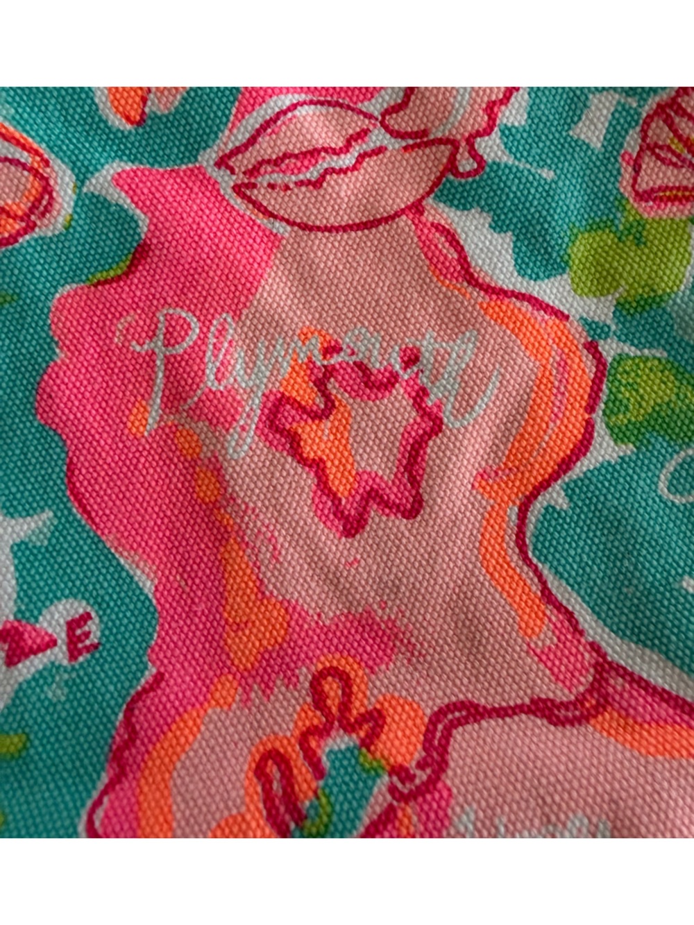 Lilly Pulitzer palm beach tote Cape and Islands 2017. RARE HTF - Picture 12 of 14
